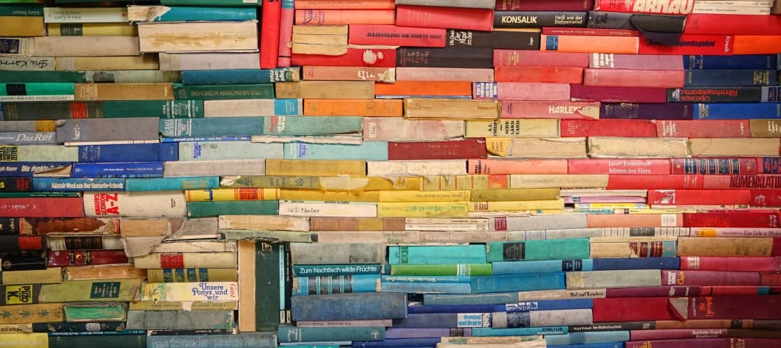 How to Conduct Educational verification?